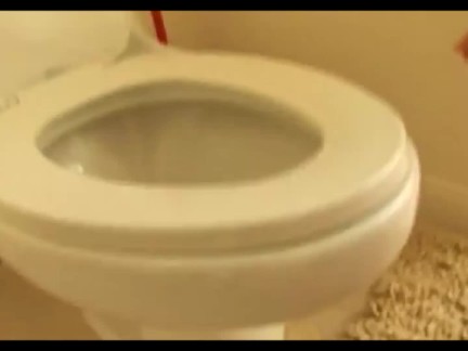 Sasha Grey Cleans The Toilet